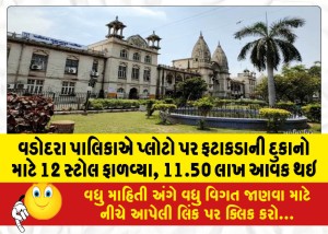 વડોદરા પાલિકાએ પ્લોટો પર ફટાકડાની દુકાનો માટે 12 સ્ટોલ ફાળવ્યા, 11.50 લાખ આવક થઇ