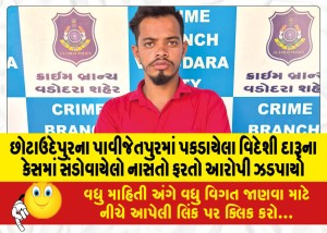 છોટાઉદેપુરના પાવીજેતપુરમાં પકડાયેલા વિદેશી દારૂના કેસમાં સંડોવાયેલો નાસતો ફરતો આરોપી ઝડપાયો