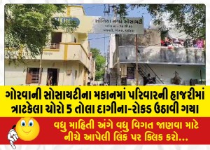 ગોરવાની સોસાયટીના મકાનમાં પરિવારની હાજરીમાં ત્રાટકેલા ચોરો 5 તોલા દાગીના-રોકડ ઉઠાવી ગયા