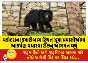 વડોદરાના કમાટીબાગ સ્થિત ઝૂમાં પ્રવાસીઓમાં આકર્ષણ વધારવા રીંછનું આગમન થયું