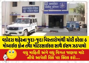 વડોદરા શહેરના જુદા-જુદા વિસ્તારોમાંથી ચોરી કરેલા 6 મોબાઇલ ફોન તથા મોટરસાઇકલ સાથે ઇસમ ઝડપાયો