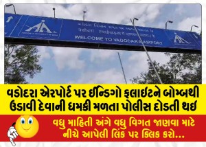 વડોદરા એરપોર્ટ પર ઈન્ડિગો ફલાઇટને બોમ્બથી ઉડાવી દેવાની ધમકી મળતા પોલીસ દોડતી થઇ