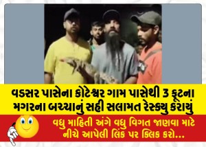 વડસર પાસેના કોટેશ્વર ગામ પાસેથી 3 ફૂટના મગરના બચ્ચાનું સહી સલામત રેસ્ક્યુ કરાયું