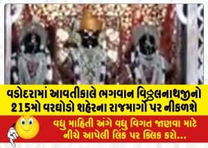 વડોદરામાં આવતીકાલે ભગવાન વિઠ્ઠલનાથજીનો 215મો વરઘોડો શહેરના રાજમાર્ગો પર નીકળશે