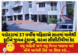 વડોદરામાં 37 વર્ષીય મહિલાએ સાતમાં માળેથી કૂદીને જીવન ટૂંકાવ્યું, ઘટના સીસીટીવીમાં કેદ