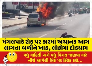 મંગલપાંડે રોડ પર કારમાં અચાનક આગ લાગતા બળીને ખાક, લોકોમાં દોડધામ