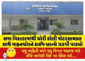સમા વિસ્તારમાંથી ચોરી કરેલી મોટરસાયકલ સાથે વાહનચોરને ક્રાઈમ બ્રાન્ચે ઝડપી પાડ્યો