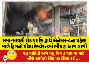 સમા-સાવલી રોડ પર સિદ્ધાર્થ એનેક્સ-4ના પહેલા માળે ટ્રિગનો પીઝા રેસ્ટોરન્ટમાં ભીષણ આગ લાગી