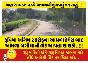 અગિયાર કરોડના આંધળા કેમેરા બાદ આંધળા બગીચાની ભેટ આપતા શાશકો..!