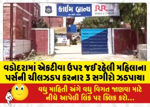 વડોદરામાં એકટીવા ઉપર જઈ રહેલી મહિલાનું પર્સની ચીલઝડપ કરનાર 3 સગીરો ઝડપાયા