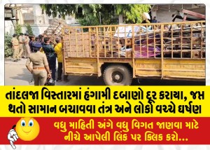 તાંદલજા વિસ્તારમાં હંગામી દબાણો દૂર કરાયા, જપ્ત થતો સામાન બચાવવા તંત્ર અને લોકો વચ્ચે ઘર્ષણ