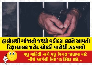 હાલોલથી ગાંજાનો જથ્થો વડોદરા લઈને આવતો રિક્ષાચાલક જરોદ ચોકડી પાસેથી ઝડપાયો