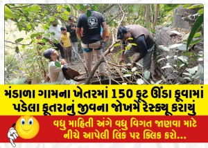 મંડાળા ગામના ખેતરમાં 150 ફૂટ ઊંડા કૂવામાં પડેલા કૂતરાનું જીવના જોખમે રેસ્ક્યૂ કરાયું
