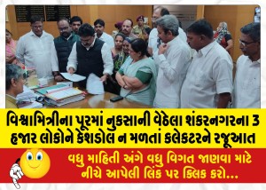 વિશ્વામિત્રીના પૂરમાં નુકસાની વેઠેલા શંકરનગરના 3 હજાર લોકોને કેશડોલ ન મળતાં કલેકટરને રજૂઆત