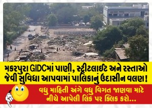 મકરપુરા GIDCમાં પાણી, સ્ટ્રીટલાઈટ અને રસ્તાઓ જેવી સુવિધા આપવામાં પાલિકાનું ઉદાસીન વલણ!