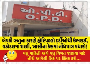બેવડી ઋતુના કારણે હોસ્પિટલો દર્દીઓથી ઉભરાઈ, વડોદરામાં શરદી, ખાંસીના કેસમાં નોંધપાત્ર વધારો!