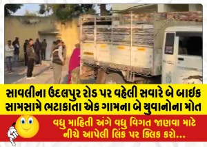 સાવલીના ઉદલપુર રોડ પર વહેલી સવારે બે બાઇક સામસામે ભટાકાતા એક ગામના બે યુવાનોના મોત