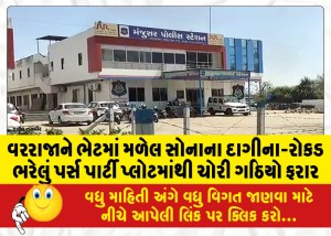 વરરાજાને ભેટમાં મળેલ સોનાના દાગીના-રોકડ ભરેલું પર્સ પાર્ટી પ્લોટમાંથી ચોરી ગઠિયો ફરાર