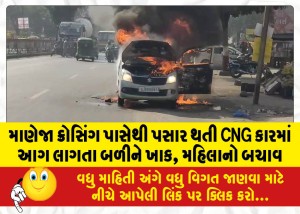 માણેજા ક્રોસિંગ પાસેથી પસાર થતી CNG કારમાં આગ લાગતા બળીને ખાક, મહિલાનો બચાવ