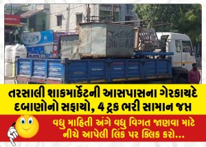 તરસાલી શાકમાર્કેટની આસપાસના ગેરકાયદે દબાણોનો સફાયો, 4 ટ્રક ભરી સામાન જપ્ત