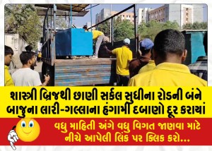 શાસ્ત્રી બ્રિજથી છાણી સર્કલ સુધીના રોડની બંને બાજુના લારી-ગલ્લાના હંગામી દબાણો દૂર કરાયાં