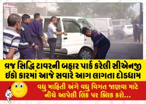 વ્રજ સિદ્ધિ ટાવરની બહાર પાર્ક કરેલી સીએનજી ઇકો કારમાં આજે સવારે આગ લાગતા દોડધામ