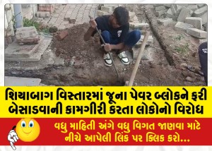 શિયાબાગ વિસ્તારમાં જૂના પેવર બ્લોકને ફરી બેસાડવાની કામગીરી કરતા લોકોનો વિરોધ