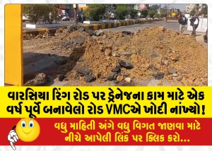 વારસિયા રિંગ રોડ પર ડ્રેનેજના કામ માટે એક વર્ષ પૂર્વે બનાવેલો રોડ VMCએ ખોદી નાંખ્યો!