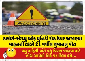 ડભોઇ-સ્ટેચ્યુ ઓફ યુનિટી રોડ ઉપર અજાણ્યા વાહનની ટક્કરે 21 વર્ષીય યુવાનનું મોત