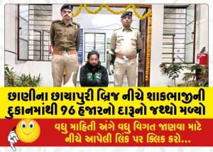 છાણીના છાયાપુરી બ્રિજ નીચે શાકભાજીની દુકાનમાંથી 96 હજારનો દારૂનો જથ્થો મળ્યો