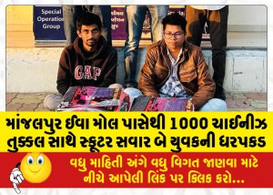 માંજલપુર ઈવા મોલ પાસેથી 1000 ચાઈનીઝ તુક્કલ સાથે સ્કૂટર સવાર બે યુવકની ધરપકડ