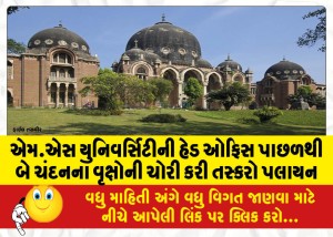 એમ.એસ યુનિવર્સિટીની હેડ ઓફિસ પાછળથી બે ચંદનના વૃક્ષોની ચોરી કરી તસ્કરો પલાયન