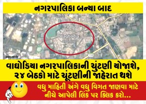 વાઘોડિયા નગરપાલિકાની ચુંટણી યોજાશે : ૨૪ બેઠકો માટે ચૂંટણીની જાહેરાત થશે