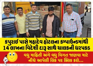 કપુરાઇની પાસે મહાદેવ હોટલના કમ્પાઉન્ડમાંથી 14 લાખના વિદેશી દારૂ સાથે ચાલકની ધરપકડ