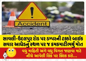 સાવલી-ઉદલપુર રોડ પર ડમ્પરની ટક્કરે બાઇક સવાર આધેડનું સ્થળ પર જ કમકમાટીભર્યું મોત