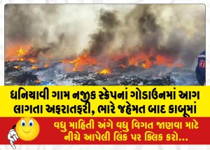 ધનિયાવી ગામ નજીક સ્ક્રેપનાં ગોડાઉનમાં આગ લાગતા અફરાતફરી, ભારે જહેમત બાદ કાબૂમાં