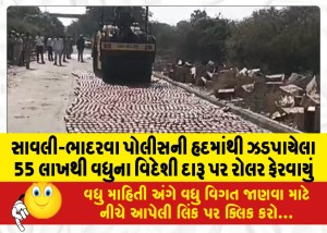 સાવલી-ભાદરવા પોલીસની હદમાંથી ઝડપાયેલા 55 લાખથી વધુના વિદેશી દારૂ પર રોલર ફેરવાયું