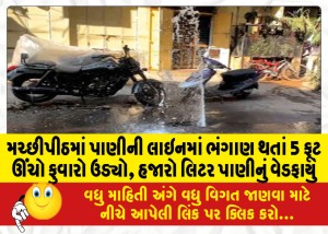 મચ્છીપીઠમાં પાણીની લાઇનમાં ભંગાણ થતાં 5 ફૂટ ઊંચો ફુવારો ઉડ્યો, હજારો લિટર પાણીનું વેડફાયું