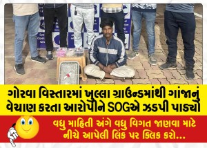 ગોરવા વિસ્તારમાં ખુલ્લા ગ્રાઉન્ડમાંથી ગાંજાનું વેચાણ કરતા આરોપીને SOGએ ઝડપી પાડ્યો