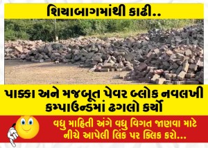 પાક્કા અને મજબૂત પેવર બ્લોક નવલખી કમ્પાઉન્ડમાં ઢગલો કર્યો
