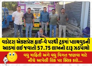 વડોદરા એક્સપ્રેસ હાઈ-વે પરથી ટ્રકમાં પ્લાયવુડની આડમાં લઇ જવાતો 57.75 લાખનો દારૂ ઝડપાયો