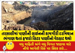 તરસાલીમાં પાણીની લાઇનની કામગીરી દરમિયાન ભંગાણ થતાં હજારો લિટર પાણીનો વેડફાટ થયો