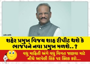 શહેર પ્રમુખ વિજય શાહ રીપીટ થશે કે ભાજપને નવા પ્રમુખ મળશે..?
