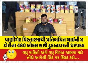 પાણીગેટ વિસ્તારમાંથી પ્રતિબંધિત ચાઇનીઝ દોરીના 480 બોક્સ સાથે દુકાનદારની ધરપકડ