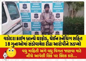 વડોદરા ક્રાઇમ બ્રાન્ચે ઘરફોડ, ચેઈન સ્નેચિંગ સહિત 18 ગુનાઓમાં સંડોવાયેલ રીઢા આરોપીને ઝડપ્યો