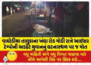 વાઘોડીયા તાલુકાના ખંઘા રોડ મોડી રાત્રે આઇસર ટેમ્પોની અડફેટે યુવાનનું ઘટનાસ્થળ પર જ મોત