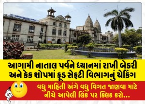 આગામી નાતાલ પર્વને ધ્યાનમાં રાખી બેકરી અને કેક શોપમાં ફૂડ સેફટી વિભાગનું ચેકિંગ