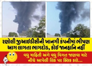 રણોલી જીઆઇડીસીની ખાનગી કંપનીમાં ભીષણ આગ લાગતા ભાગદોડ, કોઇ જાનહાનિ નહીં!!