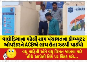 વાઘોડિયાના મઢેલી ગ્રામ પંચાયતના કોમ્પ્યુટર ઓપરેટરને ACBએ લાંચ લેતા ઝડપી પાડ્યો