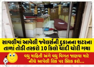 સાવલીમાં આવેલી જ્વેલર્સની દુકાનના શટરના તાળાં તોડી તસ્કરો 10 કિલો ચાંદી ચોરી ગયા